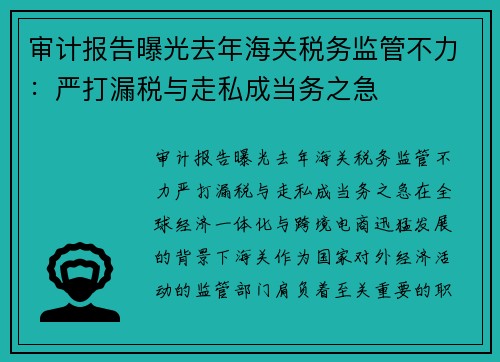 审计报告曝光去年海关税务监管不力：严打漏税与走私成当务之急